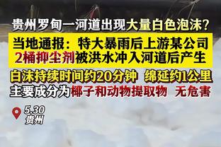 6次失误！申京17中9砍22分11板10助三双 生涯第三次三双